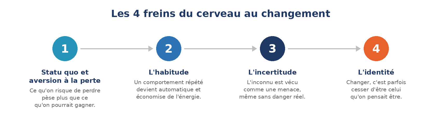 Schéma des 4 freins du cerveau au changement
